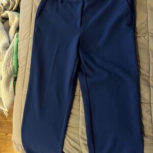 LOFT Navy Blue Pants